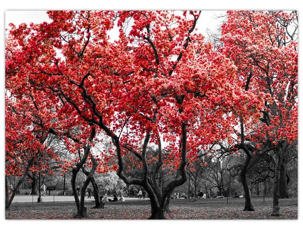 Kép - vörös fák, Central Park, New York (70x50 cm)
