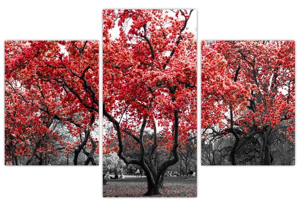 Kép - vörös fák, Central Park, New York (90x60 cm)