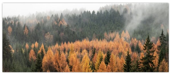 Kép - őszi erdő (120x50 cm)