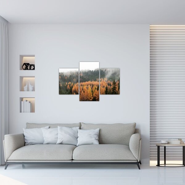 Kép - őszi erdő (90x60 cm)