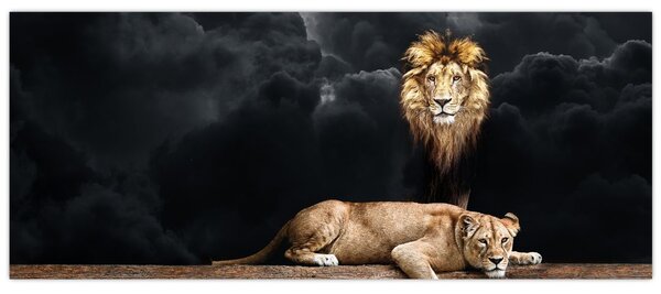 Kép - oroszlán és a nőstény oroszlán a felhőkben (120x50 cm)