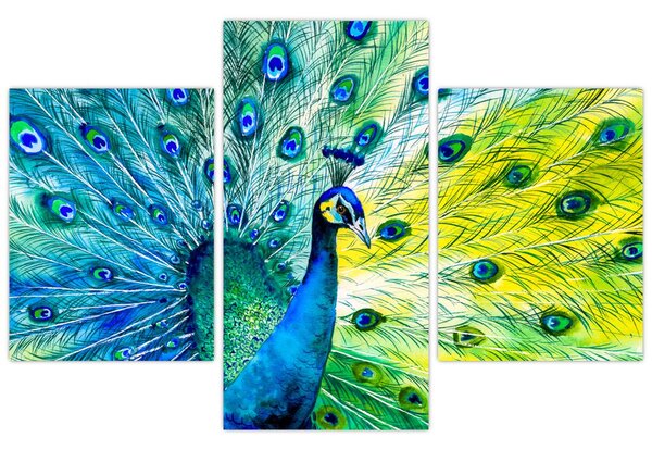 Páva képe (90x60 cm)