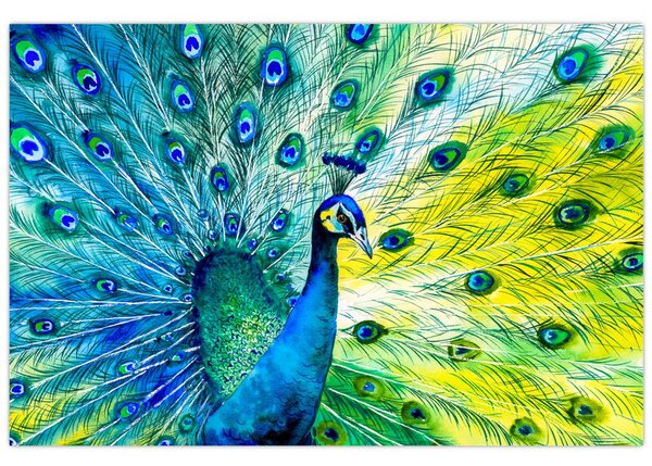 Páva képe (90x60 cm)