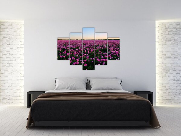 Kép - lila tulipánok rétje (150x105 cm)