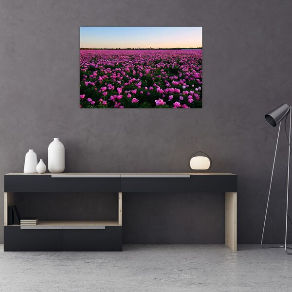 Kép - lila tulipánok rétje (90x60 cm)