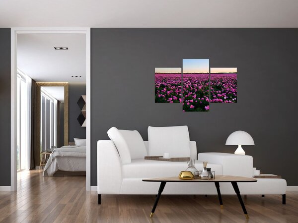 Kép - lila tulipánok rétje (90x60 cm)