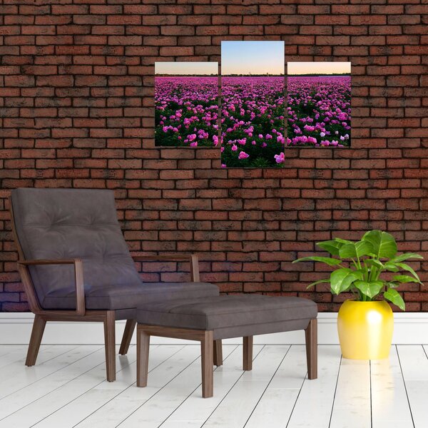 Kép - lila tulipánok rétje (90x60 cm)