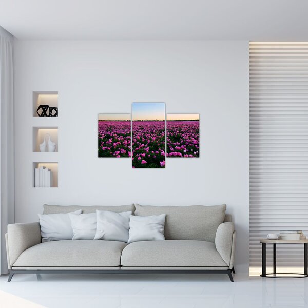 Kép - lila tulipánok rétje (90x60 cm)