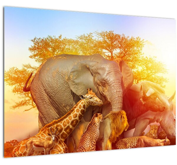 Afrikai állatok képe (70x50 cm)
