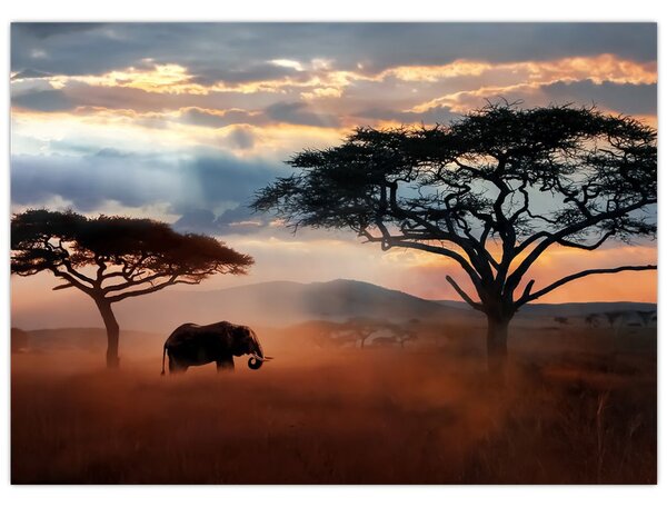 Kép - Serengeti Nemzeti Park, Tanzánia, Afrika (70x50 cm)