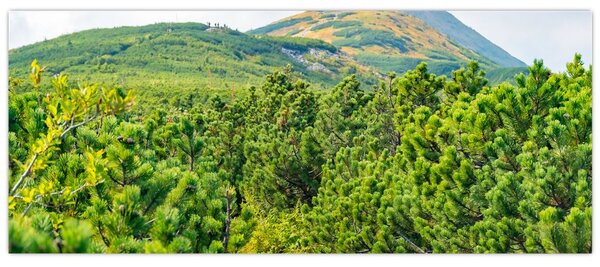 Kép - Babi Hora, Lengyelország (120x50 cm)