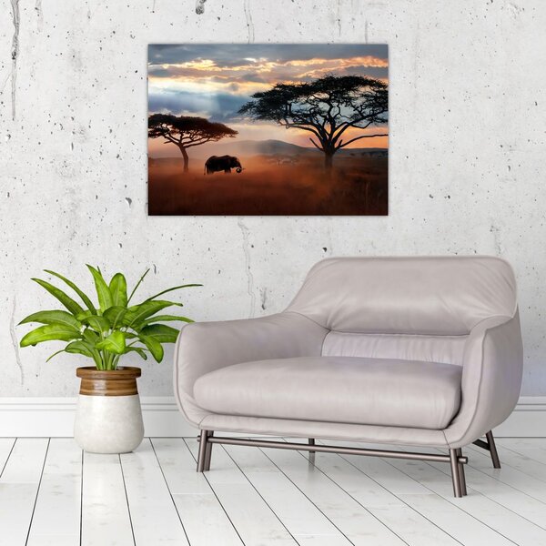 Kép - Serengeti Nemzeti Park, Tanzánia, Afrika (70x50 cm)