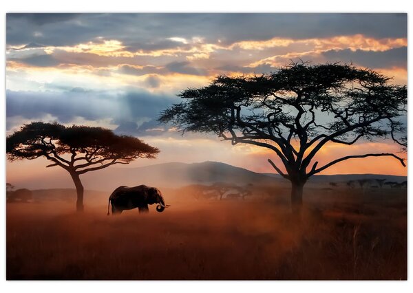 Kép - Serengeti Nemzeti Park, Tanzánia, Afrika (90x60 cm)