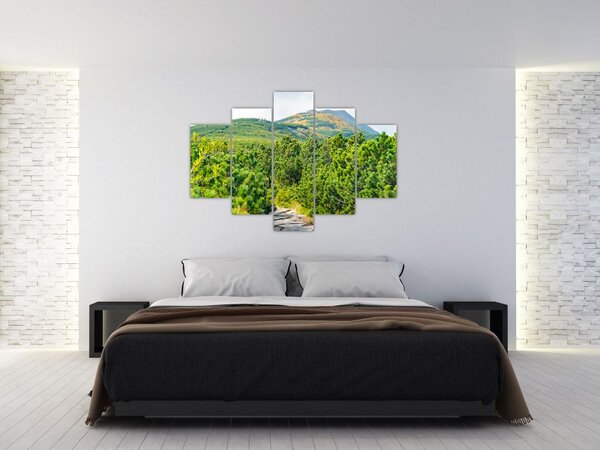 Kép - Babi Hora, Lengyelország (150x105 cm)