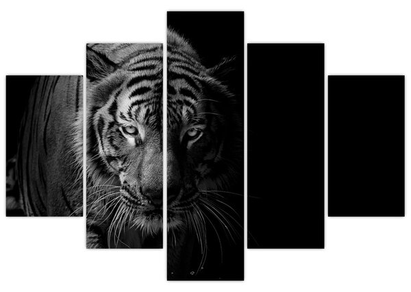 Egy vadtigris képe (150x105 cm)