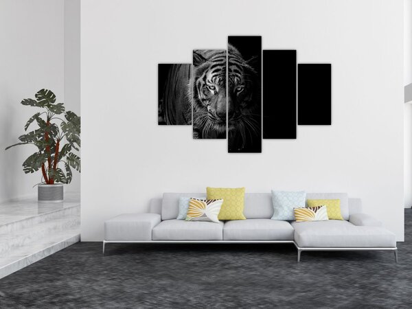 Egy vadtigris képe (150x105 cm)
