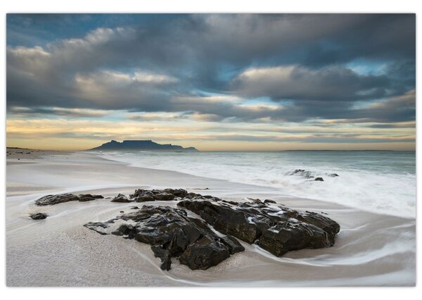 Kép - Robben Island (90x60 cm)