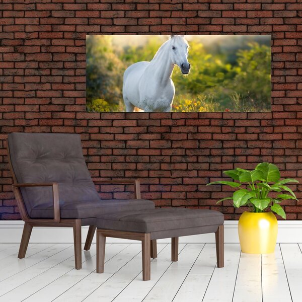 Egy fehér ló képe a réten (120x50 cm)