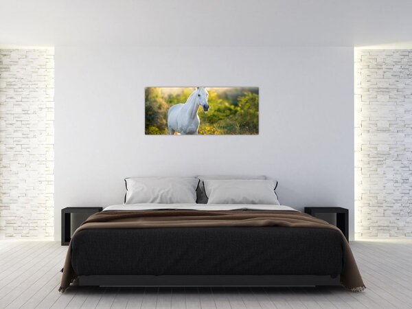 Egy fehér ló képe a réten (120x50 cm)