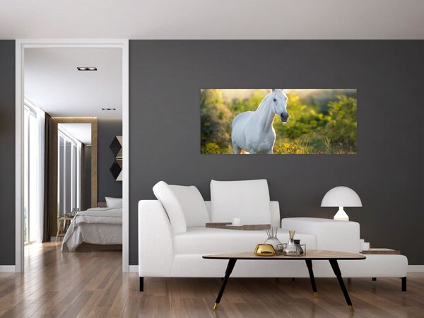 Egy fehér ló képe a réten (120x50 cm)
