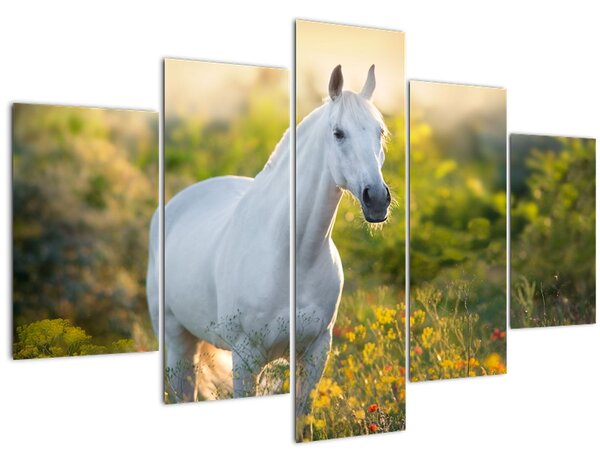Egy fehér ló képe a réten (150x105 cm)