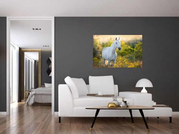 Egy fehér ló képe a réten (90x60 cm)