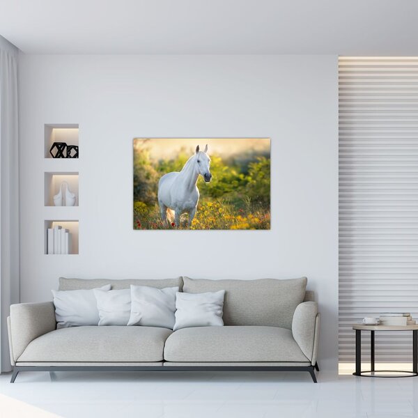 Egy fehér ló képe a réten (90x60 cm)