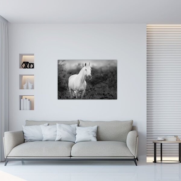 Egy fehér ló képe egy réten, fekete-fehér (90x60 cm)