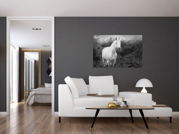 Egy fehér ló képe egy réten, fekete-fehér (90x60 cm)