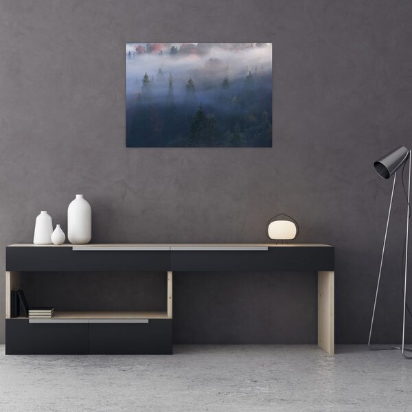 Kép - erdő a ködben, Carpathians, Ukraina (70x50 cm)