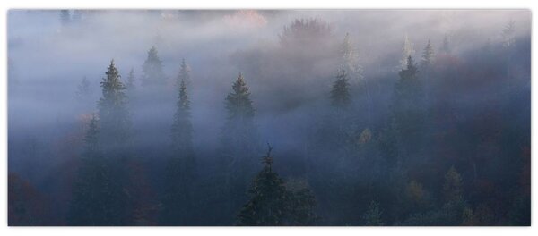 Kép - erdő a ködben, Carpathians, Ukraina (120x50 cm)
