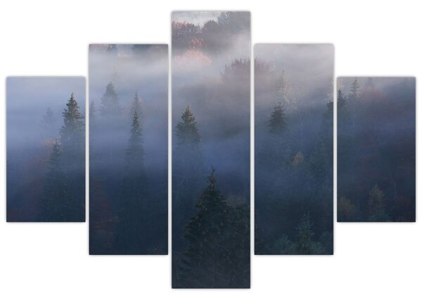 Kép - erdő a ködben, Carpathians, Ukraina (150x105 cm)