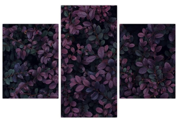 Sötétvörös levelek képe (90x60 cm)