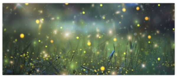Kép - varázslatos éjszaka (120x50 cm)