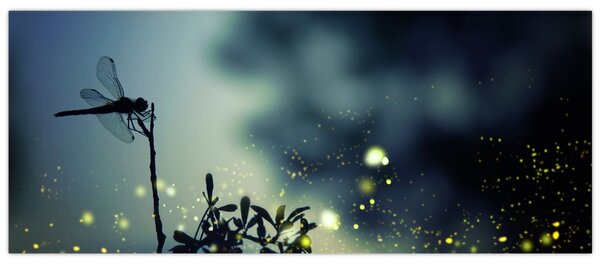 Kép - szitakötő a csillogó éjszakában (120x50 cm)