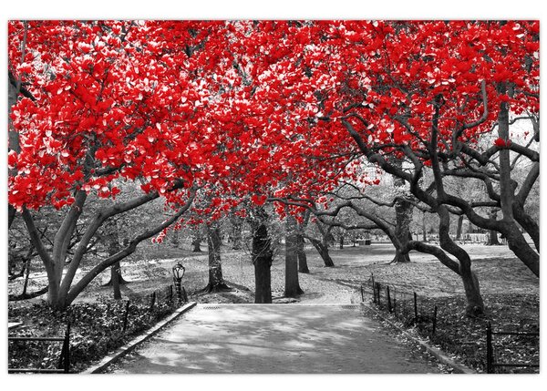Kép - vörös fák,Central Park, New York (90x60 cm)
