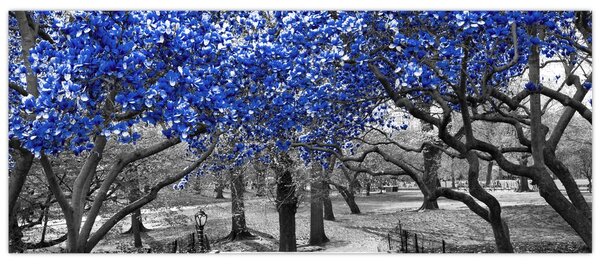 Kép - Kék fák, Central Park, New York (120x50 cm)