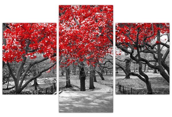 Kép - vörös fák,Central Park, New York (90x60 cm)