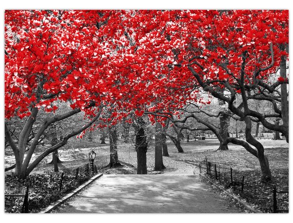 Kép - vörös fák,Central Park, New York (70x50 cm)