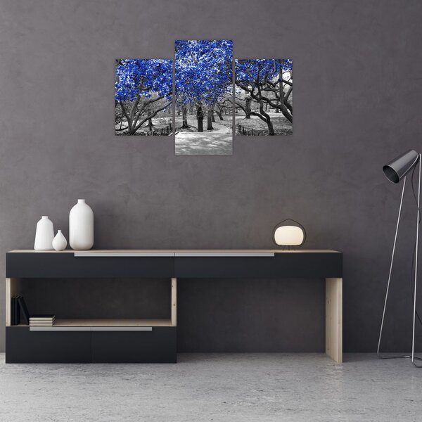 Kép - Kék fák, Central Park, New York (90x60 cm)