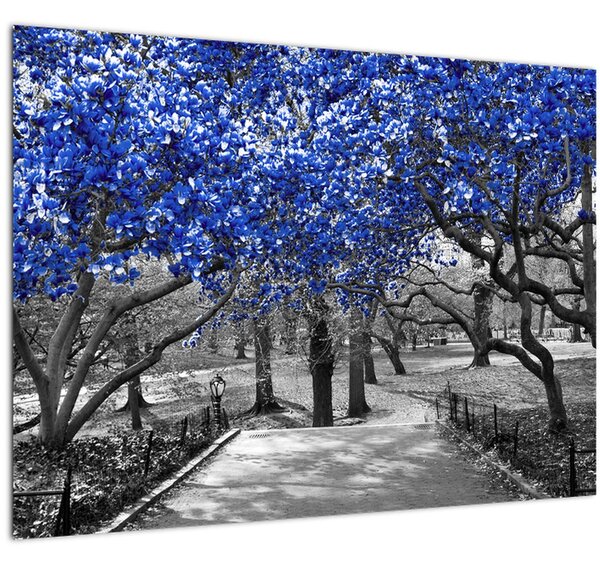 Kép - Kék fák, Central Park, New York (70x50 cm)