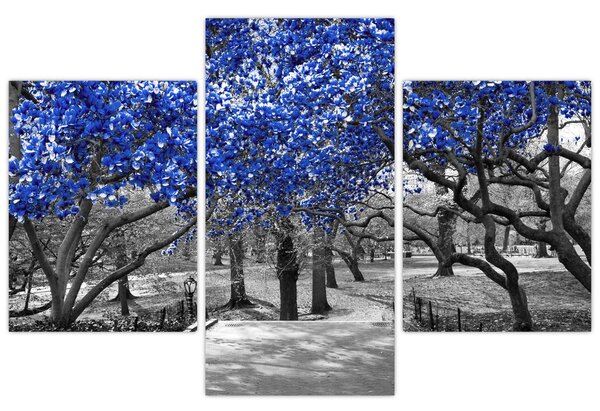 Kép - Kék fák, Central Park, New York (90x60 cm)