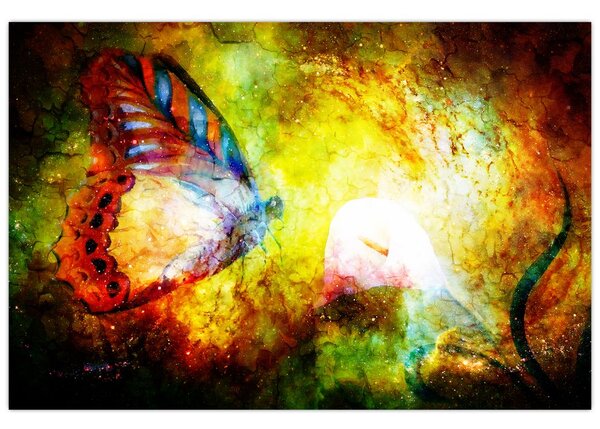Kép - Kozmikus pillangó (90x60 cm)