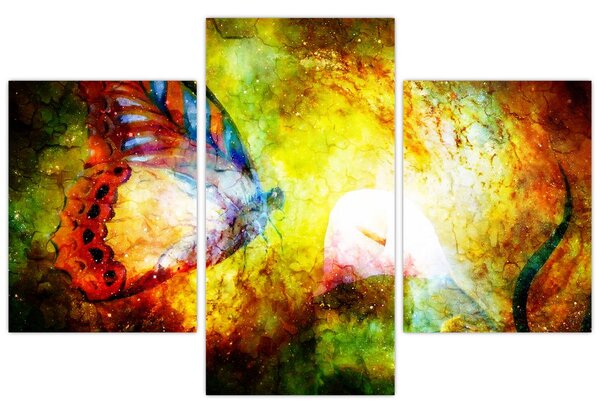 Kép - Kozmikus pillangó (90x60 cm)
