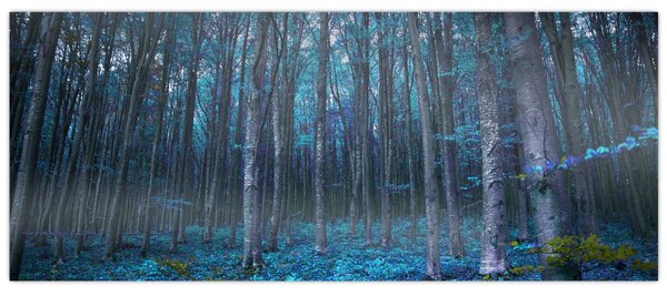 Kép - varázslatos erdő (120x50 cm)