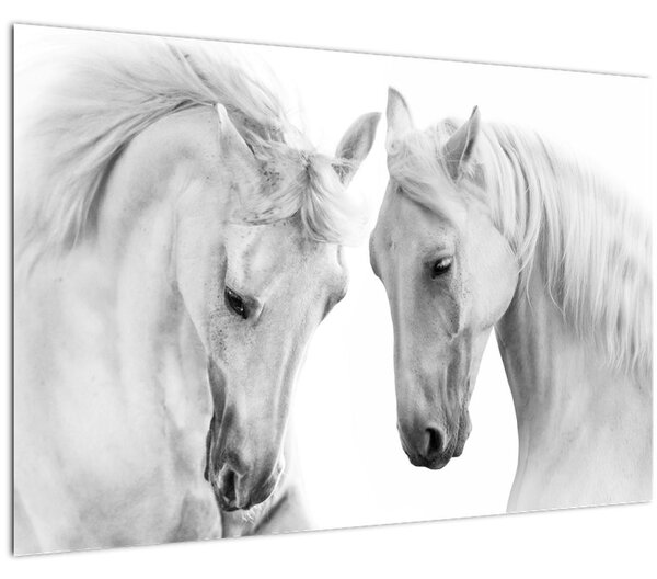 Fehér lovak képe (90x60 cm)