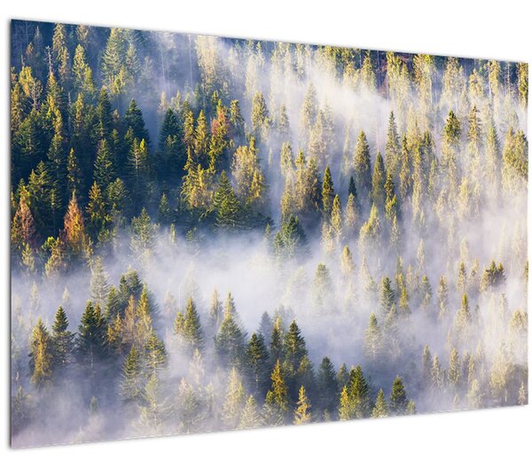 Fák képe a ködben (90x60 cm)