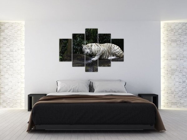 Kép - albínó tigris (150x105 cm)