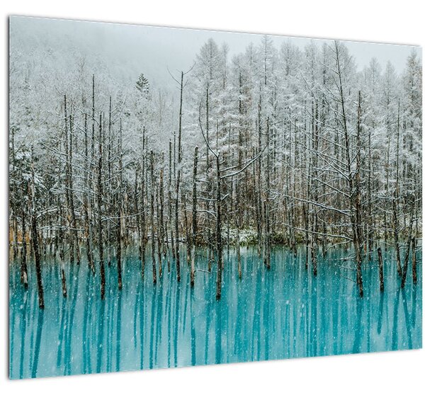 Kép - Türkiz tó, Biei, Japán (70x50 cm)