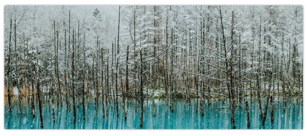 Kép - Türkiz tó, Biei, Japán (120x50 cm)